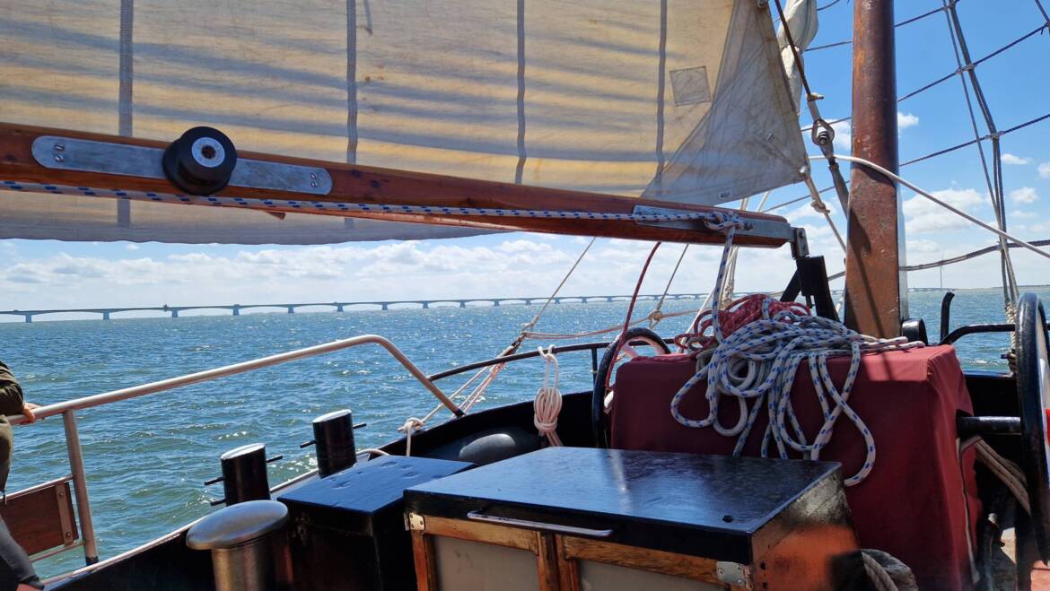 Picknick op de Schelde